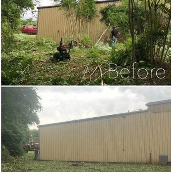 Grounded Land Solutions - Before and after on a commercial property in Nashville, using our Forestry Mulcher and hand cutting - Tree Services Near Me