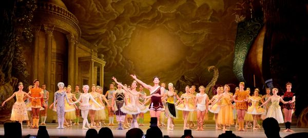 Metropolitan Opera House by null