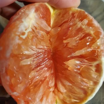 Florida Citrus Center - Dry red navel orange. - Convenience Stores Near Me - Yulee, Florida