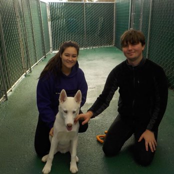 Tyson Kennels - Pet Sitting Near Me - Menlo Park, California Tyson Kennels - Pet Sitting Near Me - Menlo Park, California