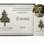 Trees for a Change
