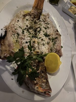 Sea Grill Restaurant by null