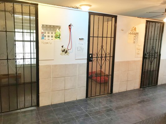 RED WOOF INN PET HOTEL - Updated December 2024 - 12 Photos - 12247