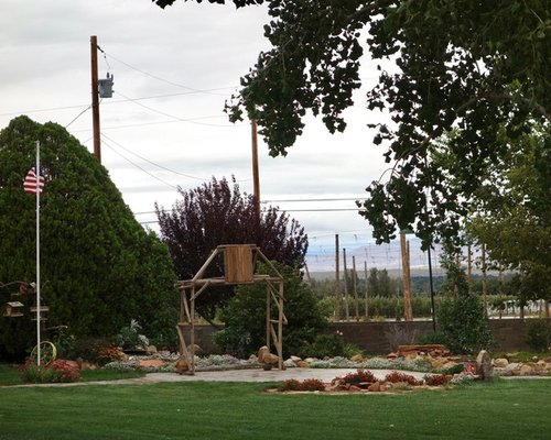 Mountain View Farm by null