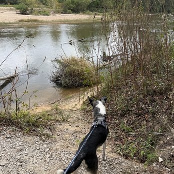Bogue Chitto State Park - Campgrounds Near Me - Franklinton, Louisiana Bogue Chitto State Park - Campgrounds Near Me - Franklinton, Louisiana