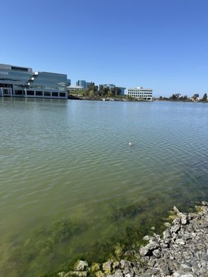 Waterside Grill + Lounge by null