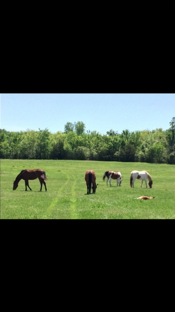 BRIARWOOD FARMS Updated October 2024 23100 N Briarwood Dr, Edmond