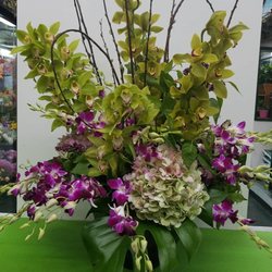 Greenpoint Floral - TROPICS