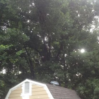 Coulter's Tree Service - Tree Services Near Me - Broken Arrow, Oklahoma