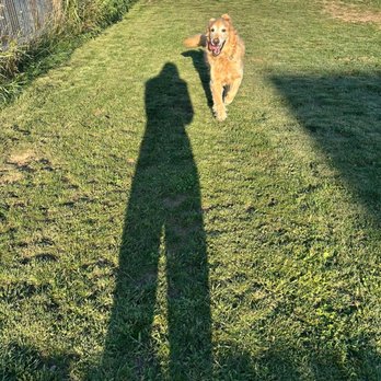 RR Professional Dog Training & Boarding - Pet Training Near Me - Carlton, Minnesota RR Professional Dog Training & Boarding - Pet Training Near Me - Carlton, Minnesota