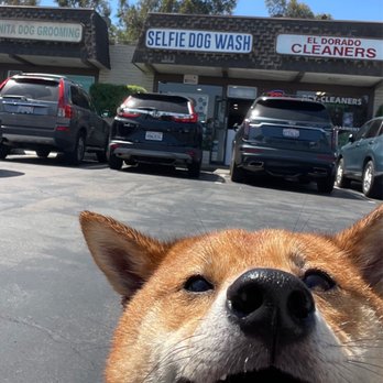 Selfie Dog Wash - Selfie @ Selfie dog wash - Pet Groomers Near Me - Bonita, California Selfie Dog Wash - Selfie @ Selfie dog wash - Pet Groomers Near Me - Bonita, California