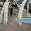 Camp Jurassic gift card