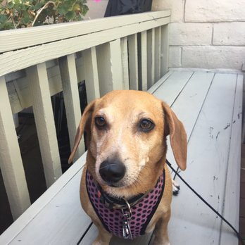 Katy's Korner - Dog friendly - Breakfast & Brunch Near Me - San Ramon, California Katy's Korner - Dog friendly - Breakfast & Brunch Near Me - San Ramon, California