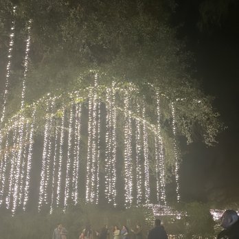 123 Farm - Tree lights - Farmers Market Near Me - Cherry Valley, California