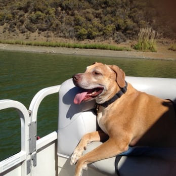 The Sams Clinic - Jaro on Lake Chabot - Veterinarians Near Me - Mill Valley, California