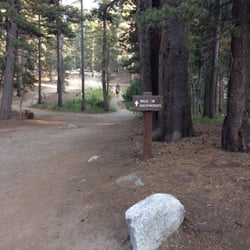 Tuolumne Meadows Campground