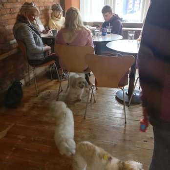 My Dog's Cafe & Bar - Coffee & Tea Near Me - Hamilton, Ontario My Dog's Cafe & Bar - Coffee & Tea Near Me - Hamilton, Ontario