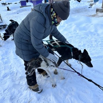 907 Tours - We were able to meet and pet the dogs during the tour, all very friendly - Tours Near Me