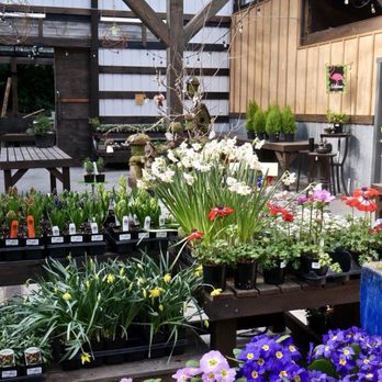 Venture Out Plant Nursery - Nurseries & Gardening Near Me - Langley, Washington Venture Out Plant Nursery - Nurseries & Gardening Near Me - Langley, Washington