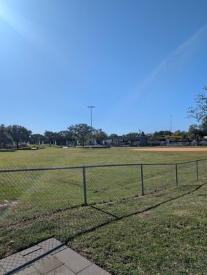 Emancipation Park by null