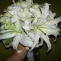 Photo of Bellville Flowers & Gifts