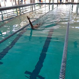 I am loving the indoor and outdoor pools at the MARJCC! Swim lanes are fantastic and the staff is so nice!!