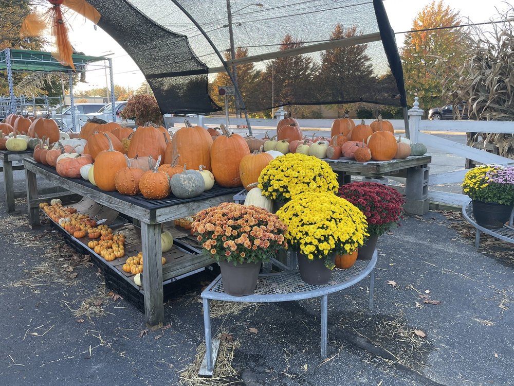 HAVEL’S FLOWERS & GREENHOUSES Updated September 2024 16 Reviews 9294 Mentor Ave, Mentor