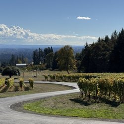 Pete's Mountain Vineyard & Winery