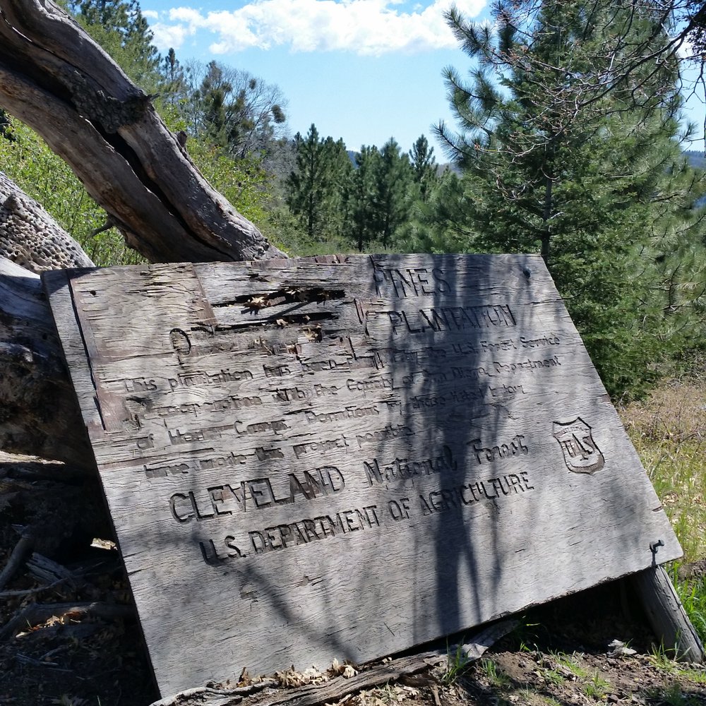 Palomar Mountain-Observatory Trail - Old sign.. - Observatories Near Me