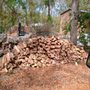 J and L's Tree Service