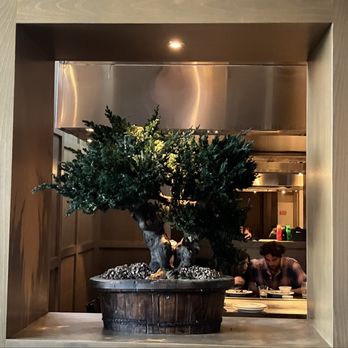 Benihana - Bonsai Tree - Teppanyaki Near Me - Arcadia, California