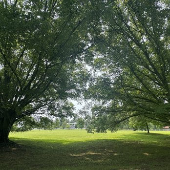 Andrew Jackson's Hermitage - Museums Near Me - Nashville, Tennessee