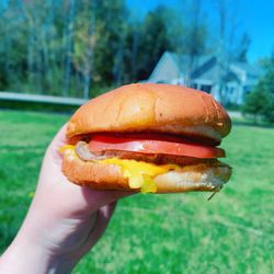 Rapid Ray's - Cheeseburger