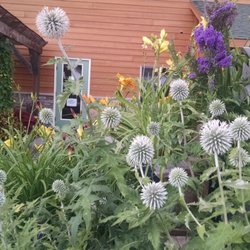 Great Northern Landscapes & Nowthen Nursery