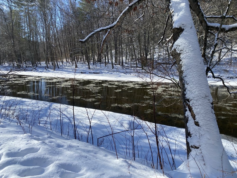 Steep Rock Preserve Logo