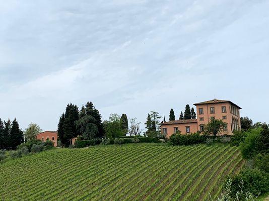 Villa Mangiacane by null