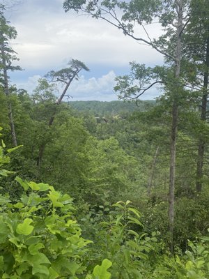 Daniel Boone National Forest by null