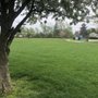 Photo of Gary Sherman Park