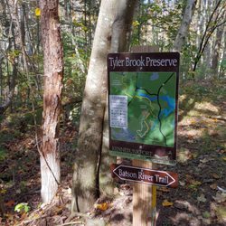 Tyler Brook Preserve - Tyler Brook Preserve map.