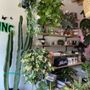 Photo of Denver Plant Club