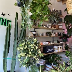 Denver Plant Club