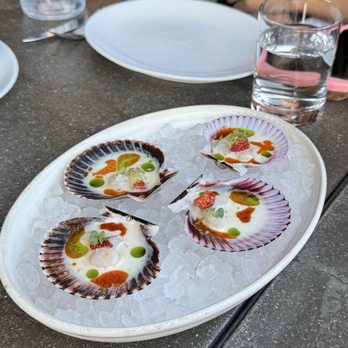 Bestia - Peruvian Scallop Crudo* - Italian Near Me - Los Angeles, California Bestia - Peruvian Scallop Crudo* - Italian Near Me - Los Angeles, California