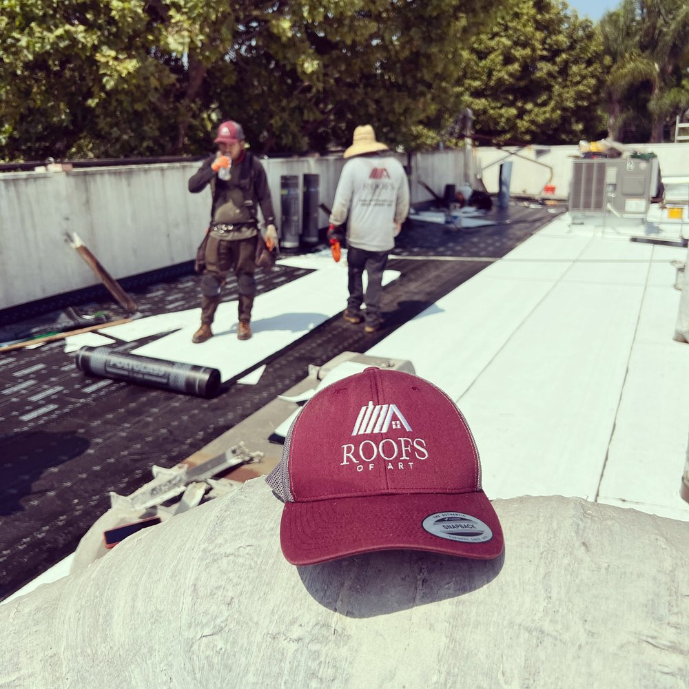 Slide of Roofs of Art