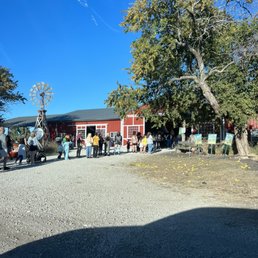Outside - People are standing in a queue outside a red barn at a farm or pumpkin patch, with a large tree and a windmill nearby on a sunny day.