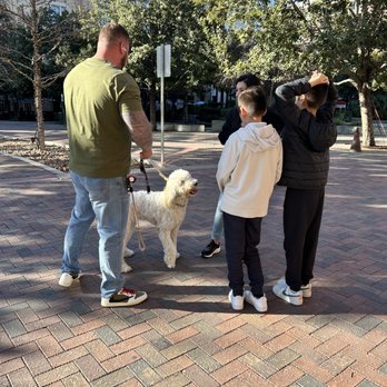 Black Anchor K9 - Pet Training Near Me Black Anchor K9 - Pet Training Near Me