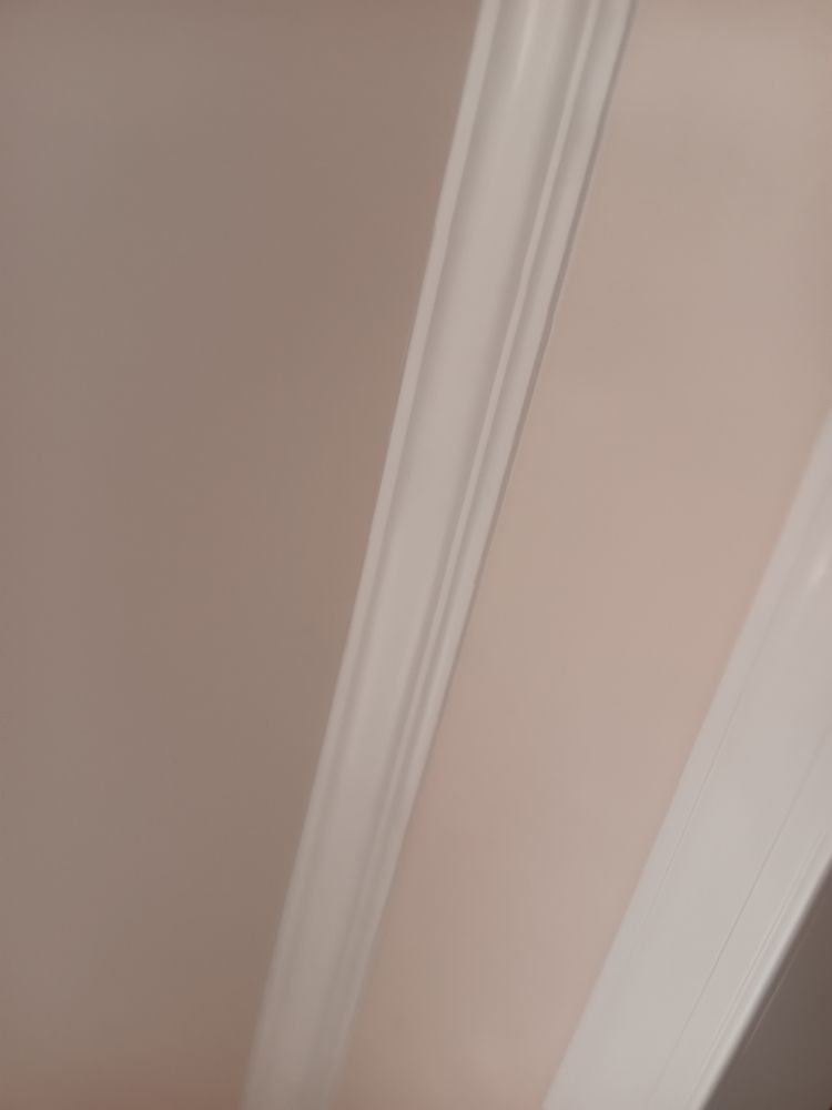 Slide of Pakmarica Painters Florida