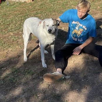 Stargate Kennel - Stargate staff member with Jasmine during one-on-one playtime. - Pet Sitting Near Me - Arnold, Missouri