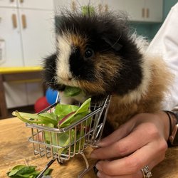 Bee Kind Preschool - Our lovely Debs having her afternoon snack