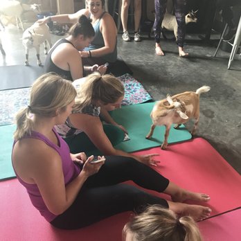 Shenanigoats Community Services - Yoga Near Me - Madison, Tennessee
