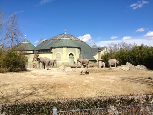 Hellabrunn Zoo by null
